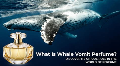 whale vomit for perfume